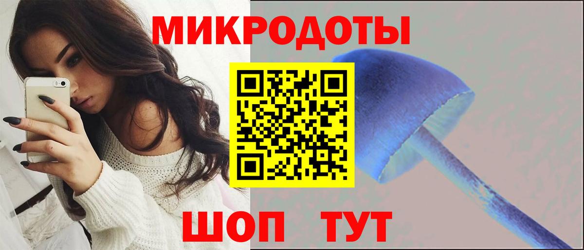Галлюциногенные грибы MAGIC MUSHROOMS  Вход с VPN  Сергиев Посад 
